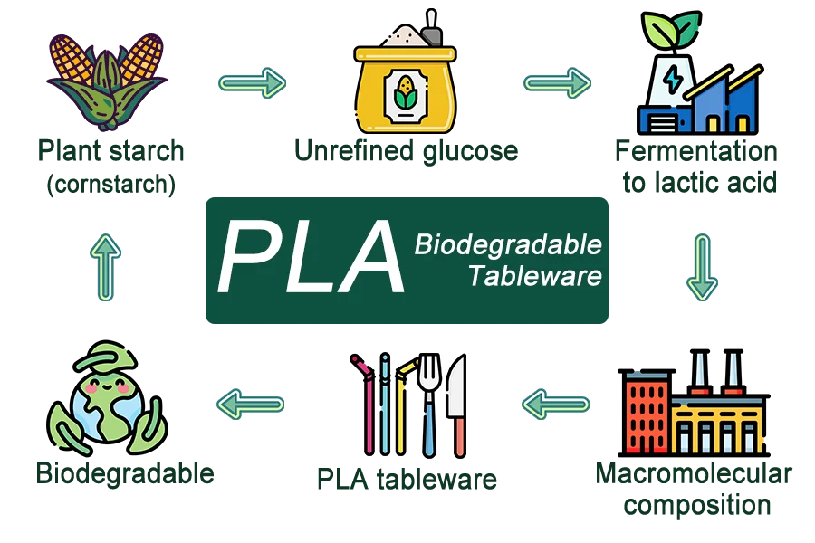 biodegradable tableware process