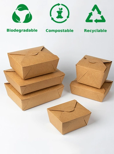 Biodegradable Paper Food Container