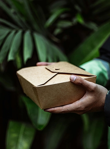 Natural texture of kraft paper lunch boxes